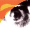 Logo de Lobster Films
